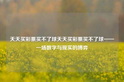 天天买彩票买不了球天天买彩票买不了球——一场数字与现实的博弈